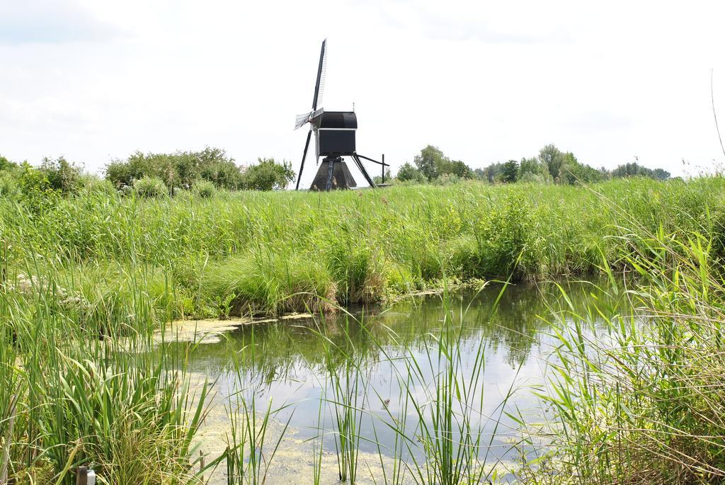 Camping De Grienduil Nieuwland  Экстерьер фото