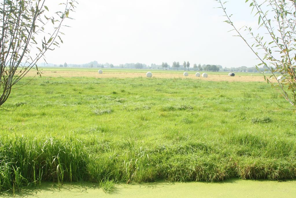 Camping De Grienduil Nieuwland  Экстерьер фото